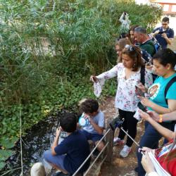 Educacion Desarrollo Sostenible