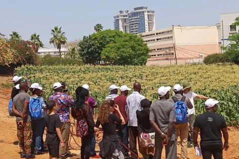 Professional Visit to the Educational Farm in Petach Tikva (español)